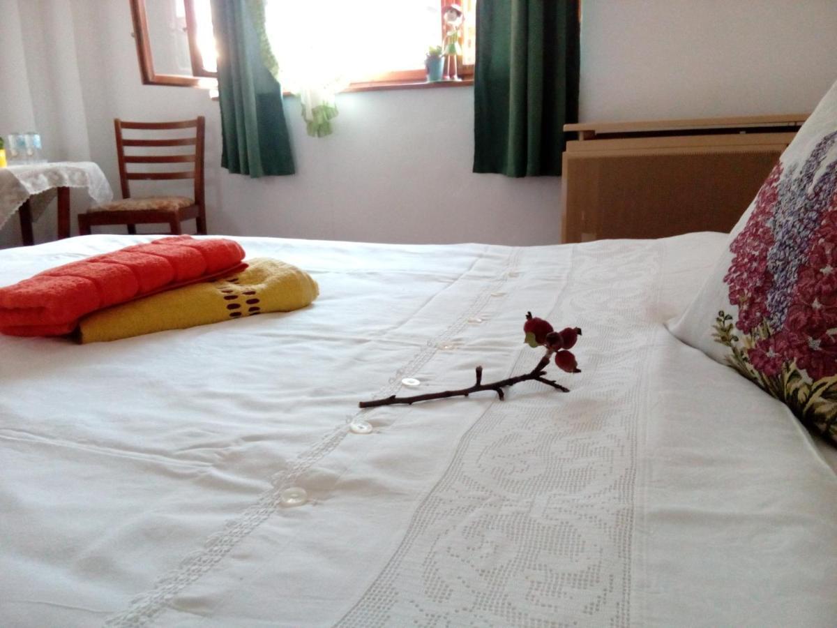 Grandpa'S Room سيفِسوارا المظهر الخارجي الصورة
